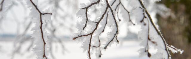ILMAPROGNOOS | Nädalavahetus toob veelgi krõbedamaid külmakraade