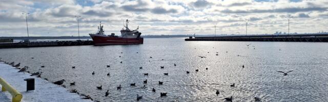 KOMMENTAARIDETA: Miiduranna sadam 16. veebruaril 2025