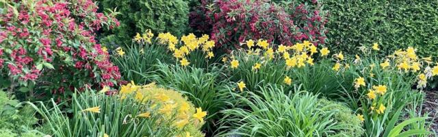 Lahe aed | Kuidas sünnib uus peenar