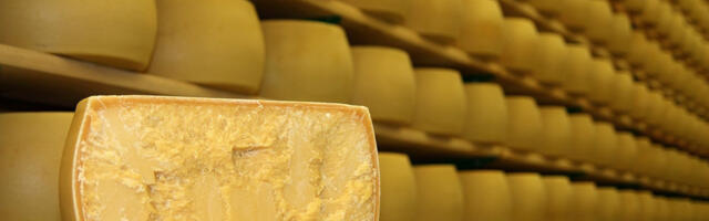 Valio avas Võrus põhjamaade suurima juustulao