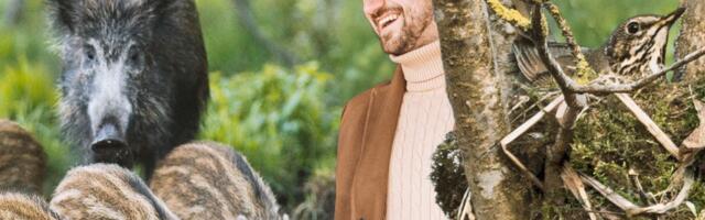 Terrase jutt kolm korda aastas poegivatest metssigadest ning 120 000 surnud linnupoega – kuidas info moondub?