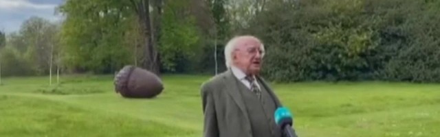 Reporter: Kutsikas näksis intervjuu ajal Iirimaa presidendi kätt