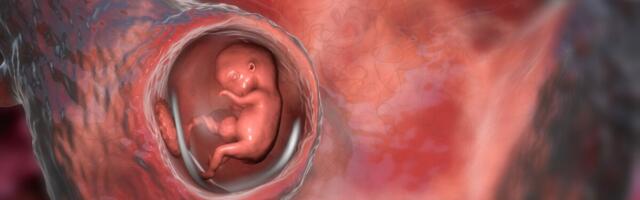 Kaitsmisele tuleb doktoritöö rakuväliste vesiikulite vahendatud embrüo-emaka suhtlusest