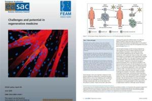 Euroopa teaduste akadeemiate  regeneratiivmeditsiini tulevikuvisioon