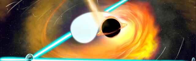 Сжатый свет: обманываем Гейзенберга и наблюдаем черные дыры