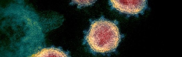 Viroloog: uus koroonaviirus on kuri geenius
