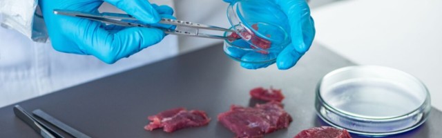 Seire tulemused: Eestis on salmonellaga saastunud kõige rohkem sealiha