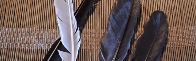 SÄRIN KUTSUB LINNUSULGI KOGUMA