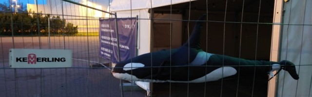 Eestis on koroonatestimisele kulunud 17 miljonit eurot