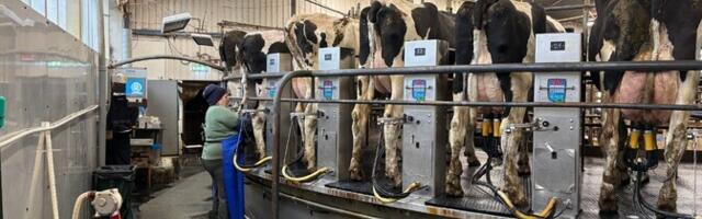 В Эстонии создан один из крупнейших сельхозконцернов: Хелениус купил предприятие Estonia Farmid