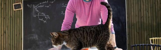 Andi Hektor: Eestis on targa tööstuse buum, nüüd tuleb hoogu hoida