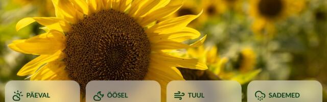 ILMATEADE | Soe õhumass jõuab Eestisse: ees ootavad suvehõngulised päevad