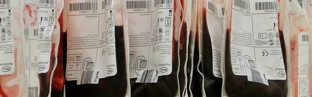 UURINGUD ⟩ Geneetiliste vaktsiinidega süstitud doonorite vere kasutamine võib seada ohtu patsientide tervise