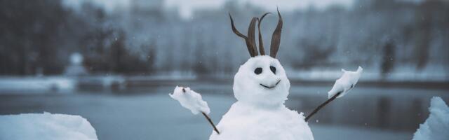 Jaanuarikuu teine kolmandik on tavapärasest külmem, viimane kolmandik aga soojem