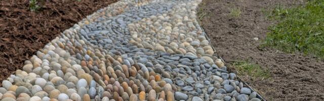 Türi Tajuaed kutsub inspiratsioonipäevale