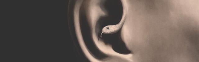 ARHIIVIST: Kes on psühhopaadid ning mis saab ühiskonnast, mis on sattunud nende valitsuse alla? II OSA