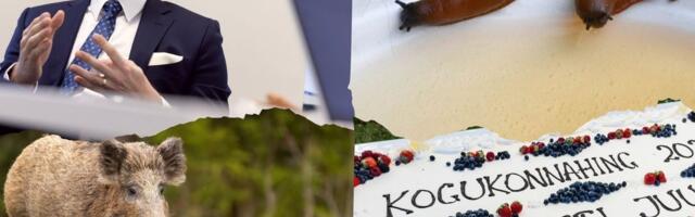 VIKTORIIN | Mida mäletad Maalehe möödunud aastast?