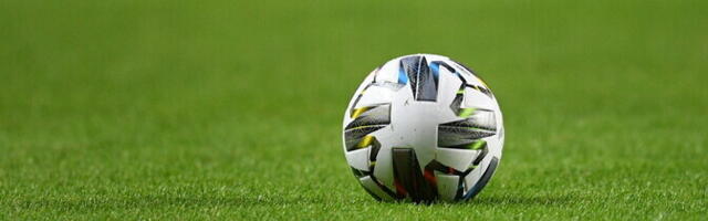 Gouram käis Hertha esindusmeeskonna eest platsil