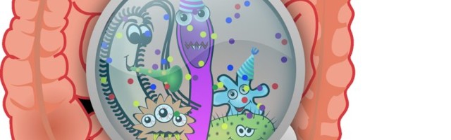 Inimese tervist mõjutab suuresti tema kehas käiv pidev sõda bakterite vahel