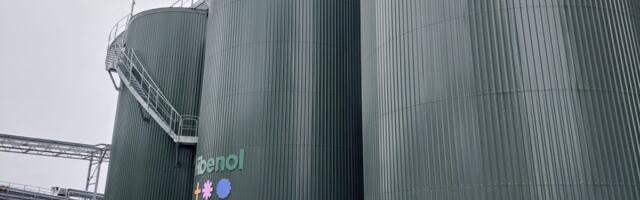 Fibenol ja salapärane Hollandi investor loobusid RMK suurpakkumisest