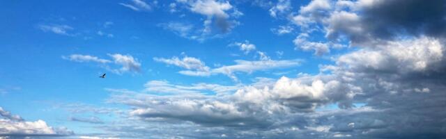 Avanes toetus Eesti rohelahenduste viimiseks Ukrainasse