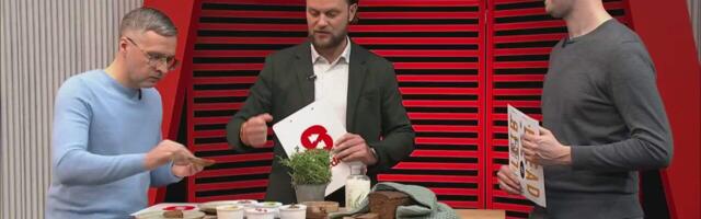 Mida kujutab endast leivafestival?