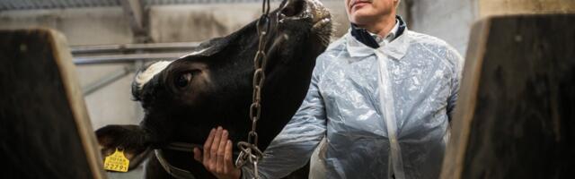 Maaülikooli instituudi direktorit kahtlustatakse riigihangete nõuete eriti suures rikkumises