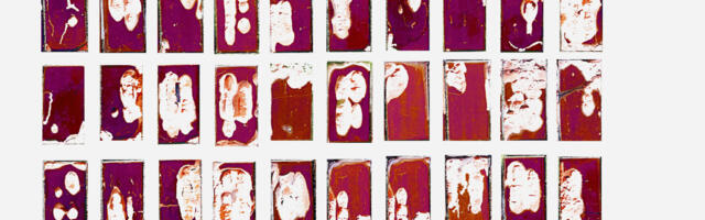 Maia Hellmani ja Anne Reinbergi näitused A-Galerii akendel