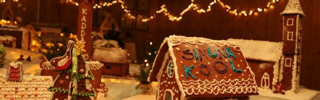 FOTOD | Väike-Maarjas avati piparkookidest vald