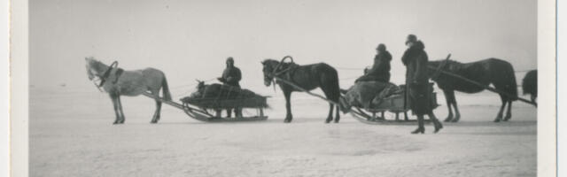 JÄÄTEEDE LOOD | Eluteel peeti võitlusi elu eest