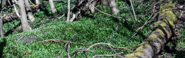 ILMATEADE | Päev tuleb kevadiselt soe ja päikeseline