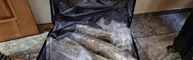 Narkootikumide müügist ligi 349 tuhat eurot teeninud Ukraina mehed mõisteti vangi