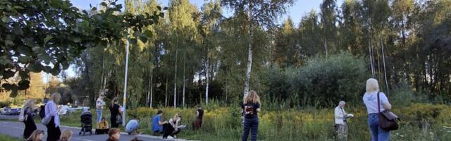 Miks kirjutada ja jutustada loodusest linnas?