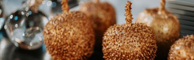 GALERII | Erasmus+ ja Euroopa Solidaarsuskorpuse silmapaistvamad projektid pälvisid kuldõuna 