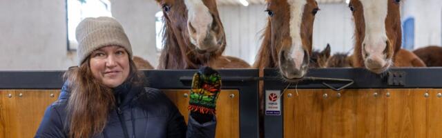 Huntide piiramisrõngas haruldaste hobuste ümber tõmbub koomale