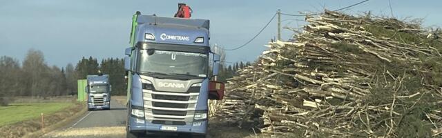 Palk on liiga niru: professionaalseid rekajuhte hakkab nappima