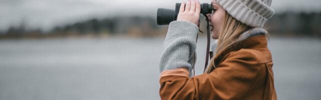 Linnuvaatluspäevadel EuroBirdwatch nägid huvilised kõige enam kuldnokki