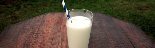 Kas piima joomine aitab luid tugevdada?