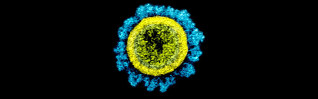 Briti tüvi on vallutanud Eesti