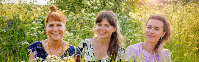 Toit. Kadri Kroon: täitsa metsas kolmik