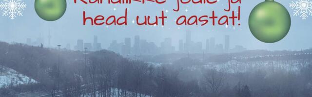 Rahulikke jõule ja head uut aastat!