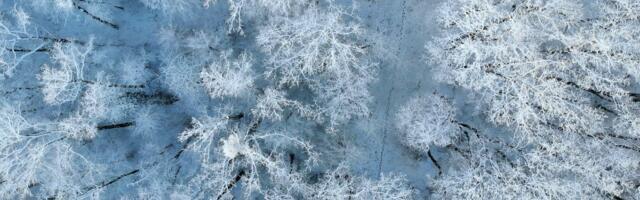 Kuu keskpaik muutub närviliseks ja asjad ei lähe nii, nagu plaanitud