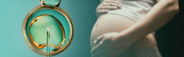 Kehavälise viljastamise abil on koroona-aastail sündinud varasemast rohkem lapsi