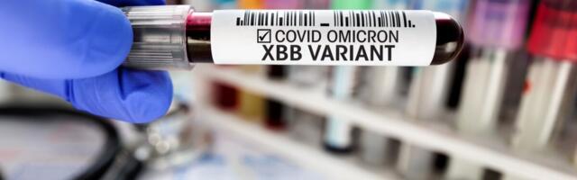 Uuringud: Uuendatud vaktsiinid kaitsevad ka uute alamvariantide eest