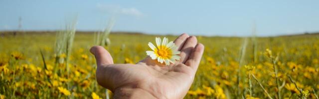 Pakosta: Õigusega pahuksisse sattunud noor vajab tuge ja turvalist keskkonda