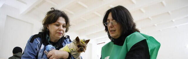 На парламентских выборах в Грузии "Грузинская мечта" набирает более 50% голосов