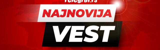 Džinovska otrovnica snimljena kod Valjeva! Najpoznatiji hvatač zmija u Srbiji za Telegraf otkrio detalje