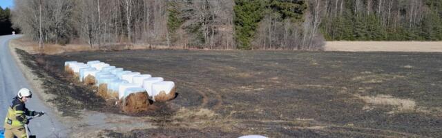 FOTO | Põuaoht on suur! Tuli neelas Märjamaal põllu ja süütas silorullid