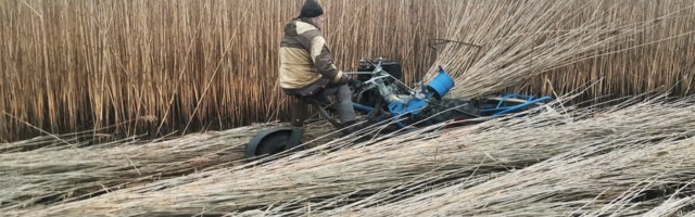 Raul Oreškin: rannarahva põllutööd