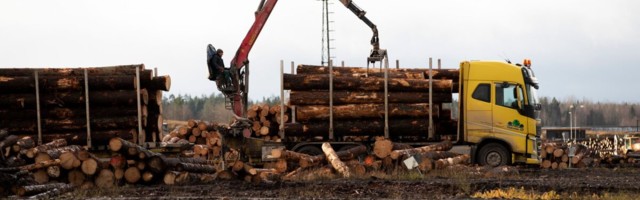 Euroopa puidutööstused nõuavad töötlemata puidu ekspordikeeldu